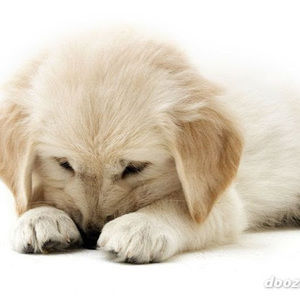 Meet your Posher, Graciela